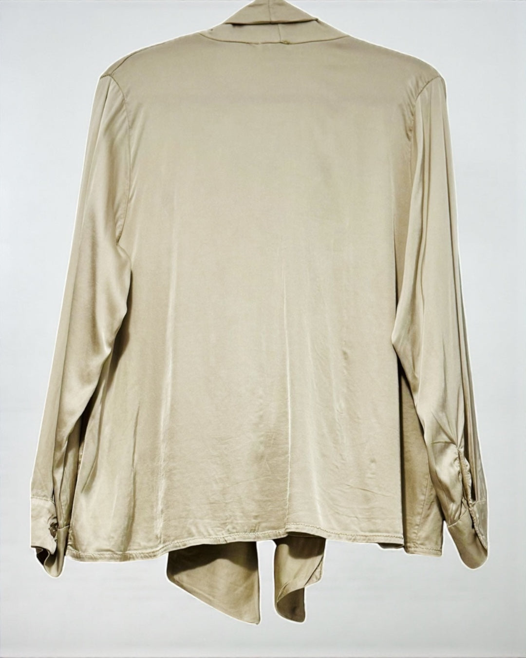 Silky Blouse With Neck Bow (Beige)