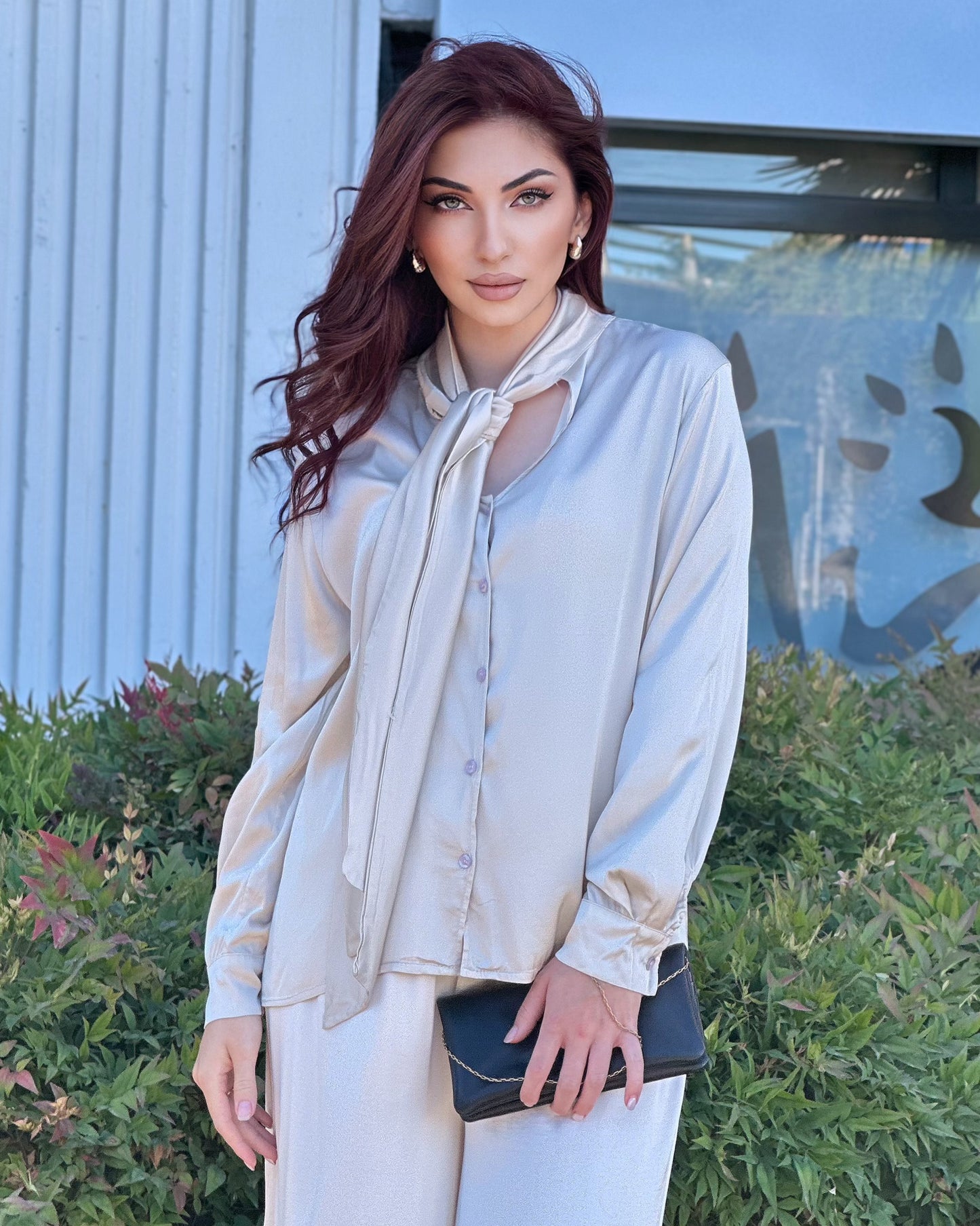 Silky Blouse With Neck Bow (Beige)