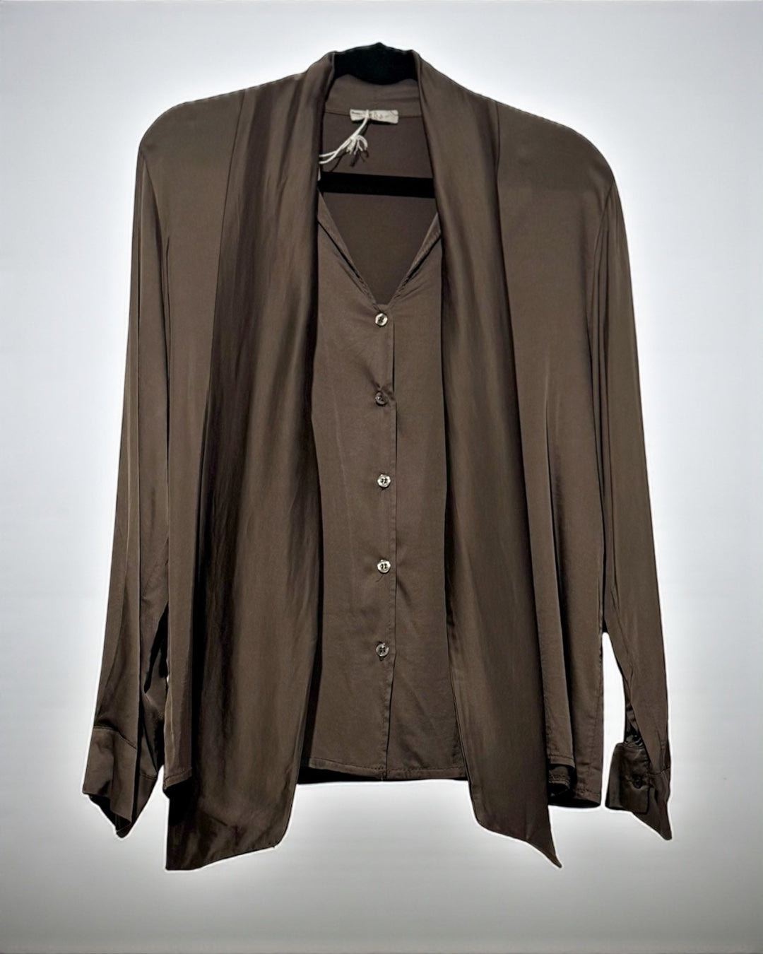 Silky Blouse With Neck Bow (Dark Chocolate)