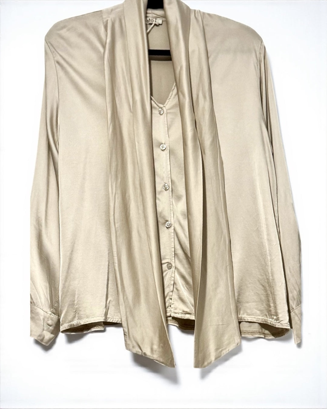 Silky Blouse With Neck Bow (Beige)