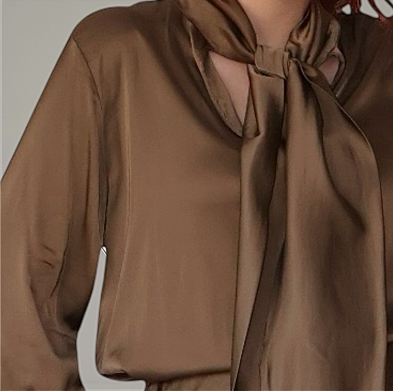 Silky Blouse With Neck Bow (Light Cappuccino)